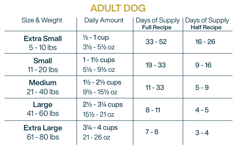 diy beef feeding guide